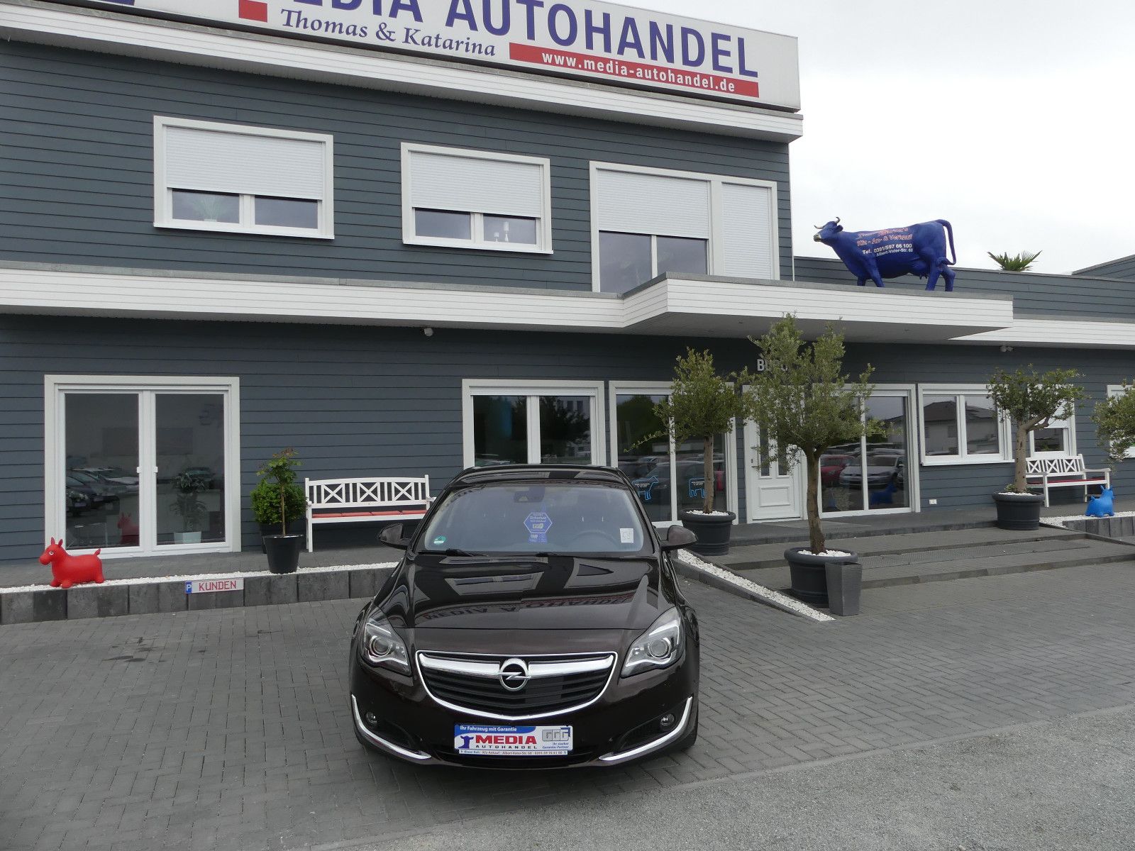 Fahrzeugabbildung Opel Insignia A Lim. Business Innovation